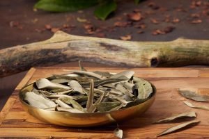 Read more about the article Aids in diabetes management: How Olive Leaf Tea may support healthy blood sugar levels